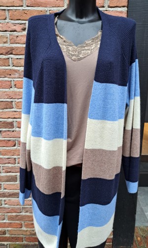 Only Carmakoma caratija vest blauw zand