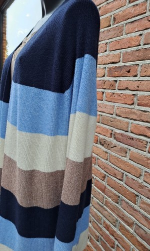 Only Carmakoma caratija vest blauw zand.